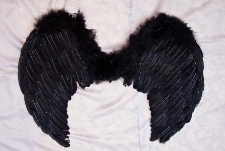 Крылья ангела (средние)